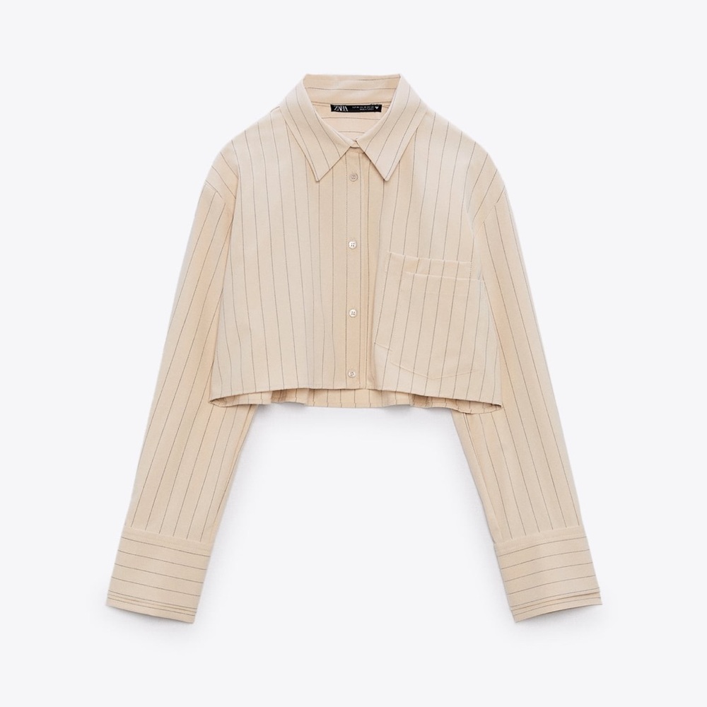 Zara crop top